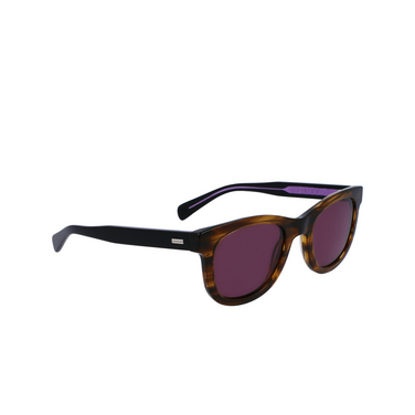 Paul Smith HALONS Sunglasses 210 striped brown - three-quarters view