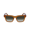 Lunettes de soleil Paul Smith HARBERTON 200 transparent brown - Vignette du produit 1/4