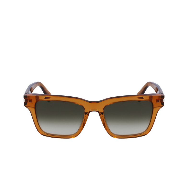 Paul Smith HARBERTON Sunglasses 200 transparent brown - 1/4