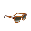 Lunettes de soleil Paul Smith HARBERTON 200 transparent brown - Vignette du produit 2/4