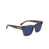 Lunettes de soleil Paul Smith HARBERTON 317 transparent khaki - Vignette du produit 2/4