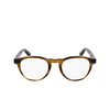 Occhiali da vista Paul Smith HARTLEY 318 striped khaki - anteprima prodotto 1/4