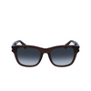 Lunettes de soleil Paul Smith HOWITT 200 transparent brown - Vignette du produit 1/4