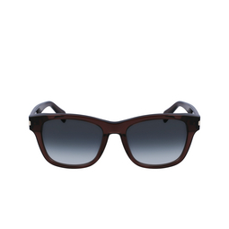 Lunettes de soleil Paul Smith HOWITT 200 transparent brown