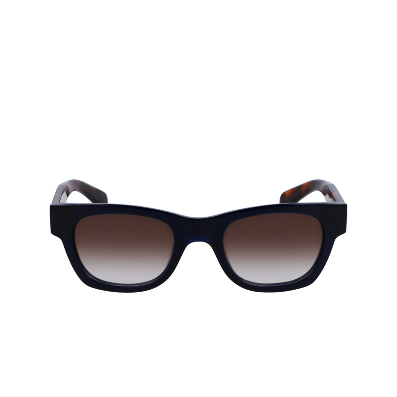 Gafas de sol Paul Smith IGHGATE 410 transparent blue - 1/4