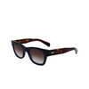 Lunettes de soleil Paul Smith IGHGATE 410 transparent blue - Vignette du produit 3/4