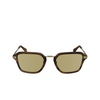 Paul Smith KEAN Sonnenbrillen 210 striped brown - Produkt-Miniaturansicht 1/4