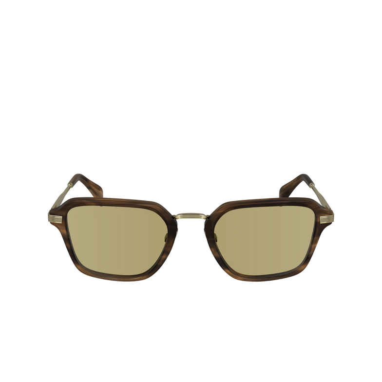 Gafas de sol Paul Smith KEAN 210 striped brown - 1/4