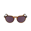 Paul Smith KEATS Sunglasses 259 striped caramel - product thumbnail 1/4