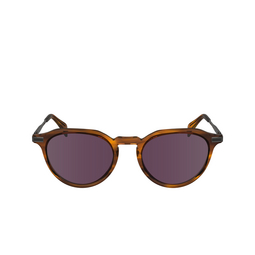 Gafas de sol Paul Smith KEATS 259 striped caramel