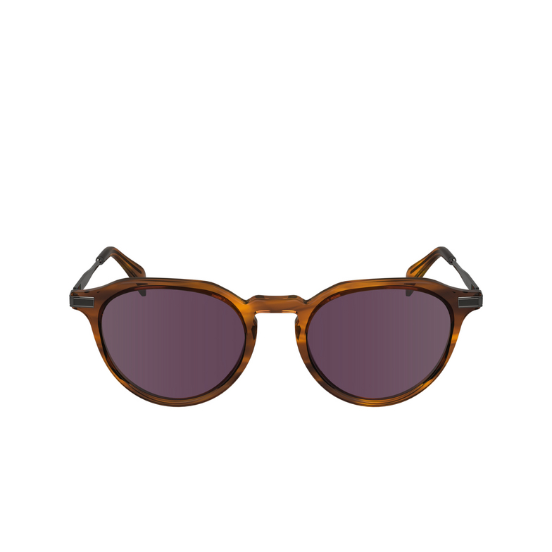 Paul Smith KEATS Sunglasses 259 striped caramel - 1/4