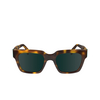 Lunettes de soleil Paul Smith KENLEY 214 havana - Vignette du produit 1/4