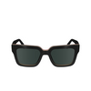 Gafas de sol Paul Smith KENTON 01 black multistripes - Miniatura del producto 1/4