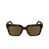 Lunettes de soleil Paul Smith KENTON 214 havana multistripes - Vignette du produit 1/4