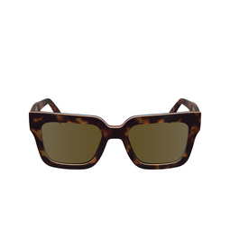 Paul Smith KENTON Sunglasses 214 havana multistripes