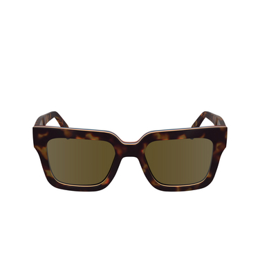 Lunettes de soleil Paul Smith KENTON 214 havana multistripes - Vue de face