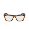 Occhiali da vista Paul Smith KIMPTON 210 striped brown - anteprima prodotto 1/4