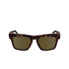 Lunettes de soleil Paul Smith KRAMER 214 havana multistripes - Vignette du produit 1/4