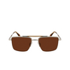 Lunettes de soleil Paul Smith LANDOR 06 silver / caramel - Vignette du produit 1/4