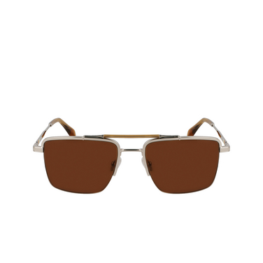 Gafas de sol Paul Smith LANDOR 06 silver / caramel - Vista delantera