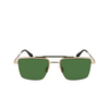 Lunettes de soleil Paul Smith LANDOR 715 gold / green - Vignette du produit 1/4