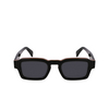 Lunettes de soleil Paul Smith LATIMER 01 black multistripes - Vignette du produit 1/4