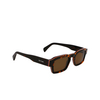 Lunettes de soleil Paul Smith LATIMER 214 havana multistripes - Vignette du produit 2/4