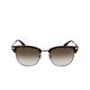 Lunettes de soleil Paul Smith LINDEN 039 gunmetal / havana - Vignette du produit 1/4