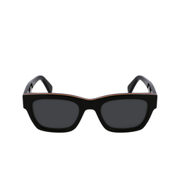 Lunettes de soleil Paul Smith LOXHAM 01 black multistripes