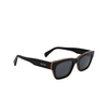 Lunettes de soleil Paul Smith LOXHAM 01 black multistripes - Vignette du produit 2/4