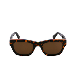 Lunettes de soleil Paul Smith LOXHAM 214 havana multistripes