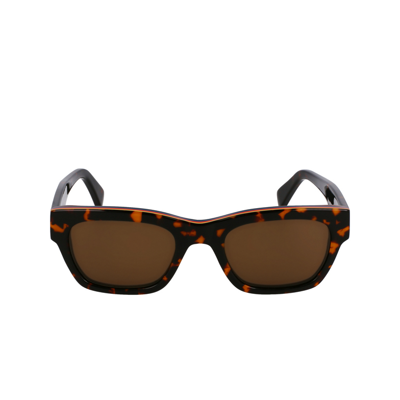 Lunettes de soleil Paul Smith LOXHAM 214 havana multistripes - 1/4