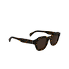 Lunettes de soleil Paul Smith LYFORD 214 havana - Vignette du produit 2/4