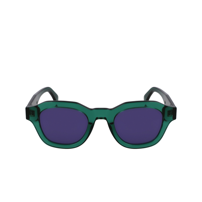 Gafas de sol Paul Smith LYFORD 300 transparent green - 1/4