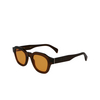 Lunettes de soleil Paul Smith LYFORD 317 transparent khaki - Vignette du produit 3/4