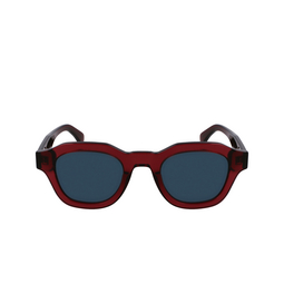 Gafas de sol Paul Smith LYFORD 602 transparent burgundy