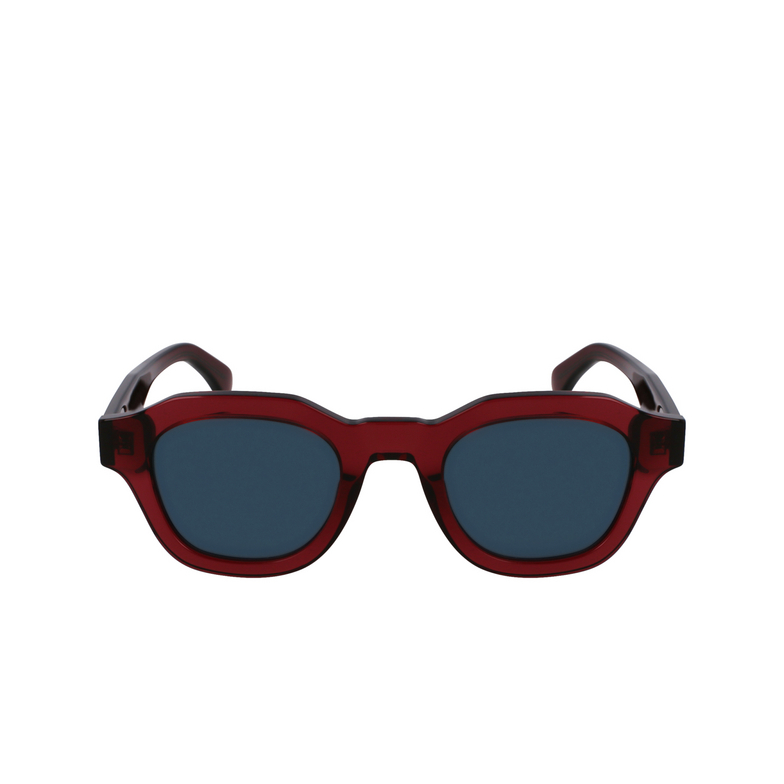 Gafas de sol Paul Smith LYFORD 602 transparent burgundy - 1/4