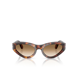 Occhiali da sole Persol PO0052S 24/51 havana