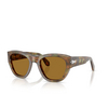 Occhiali da sole Persol PO0054S 108/33 caffe - anteprima prodotto 2/4