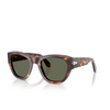 Gafas de sol Persol PO0054S 24/31 havana - Miniatura del producto 2/4