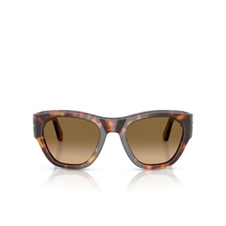 Persol PO0054S Sunglasses 24/M2 havana