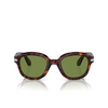 Persol PO0060S Sunglasses 24/4E havana - product thumbnail 1/4