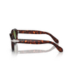 Persol PO0060S Sunglasses 24/4E havana - product thumbnail 3/4