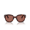 Persol PO0060S Sunglasses 24/H2 havana - product thumbnail 1/4