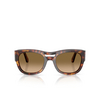 Persol PO0064S Sonnenbrillen 24/M2 havana - Produkt-Miniaturansicht 1/4