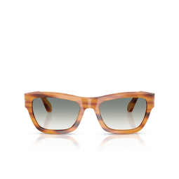 Occhiali da sole Persol PO0091S 960/3A striped brown