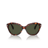 Persol PO0582S Sunglasses 24/31 havana - product thumbnail 1/4