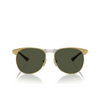 Persol PO1016S Sonnenbrillen 515/31 gold - Produkt-Miniaturansicht 1/4