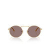 Persol PO1019S Sunglasses 112953 gold - product thumbnail 1/4