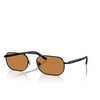 Lunettes de soleil Persol PO1020S 107853 demigloss black - Vignette du produit 2/4